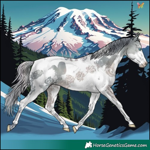 Horse Color:Watercolor Smoky Black Splash Tobiano 