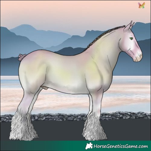 Horse Color:Watercolor Smoky Creme Onyx 
