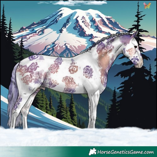 Horse Color:Watercolor Blue Onyx Sabino Splash Tobiano