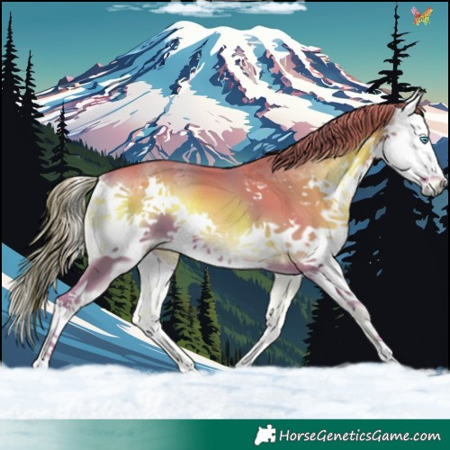 Horse Color:Watercolor Red Onyx Splash 