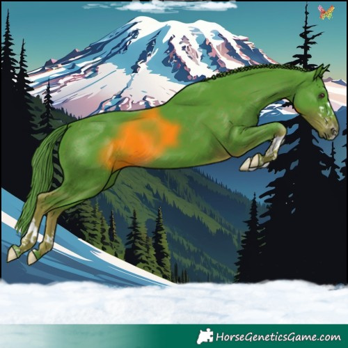 Horse Color:Watercolor Liver Chestnut