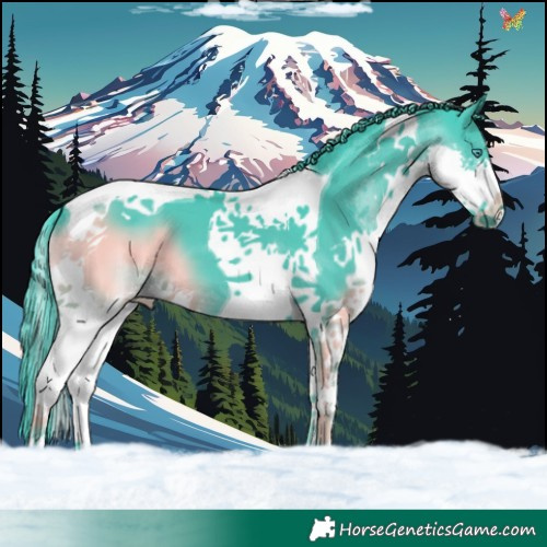 Horse Color:Watercolor Black Splash Tobiano
