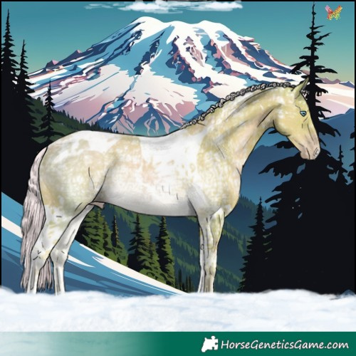 Horse Color:Watercolor Gold Cream Champagne Ice Tobiano Rabicano