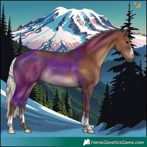 Horse Color:Silver Black