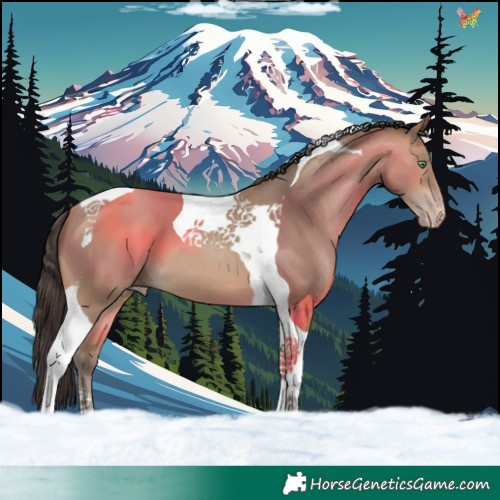 Horse Color:Amber Champagne Tobiano 