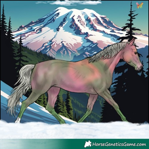 Horse Color:Watercolor Silver Bay 