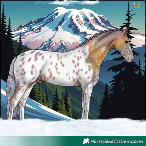 Horse Color:Watercolor White Spotted Silver Black Near Leopard 