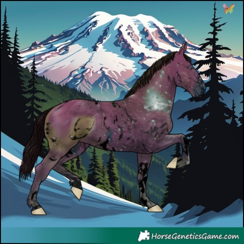 Horse Color:ERROR: UNKNOWN ANOMALY