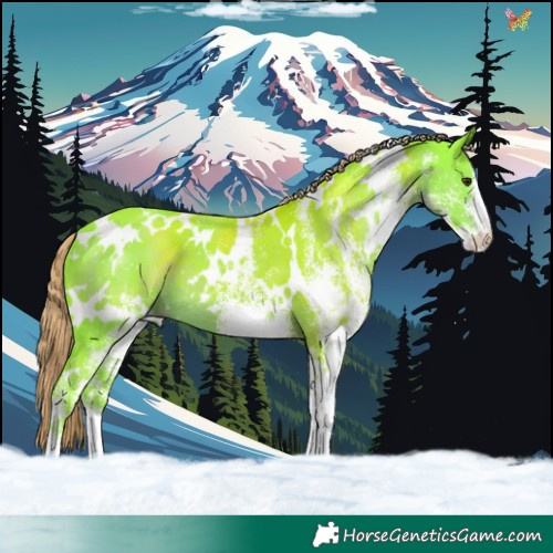 Horse Color:Watercolor White Spotted Liver Chestnut