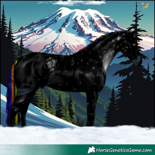 Horse Color:ERROR: UNKNOWN ANOMALY