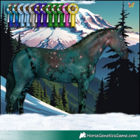 Horse Color:ERROR: UNKNOWN ANOMALY