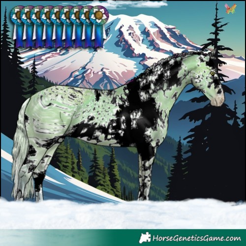 Horse Color:ERROR: UNKNOWN ANOMALY