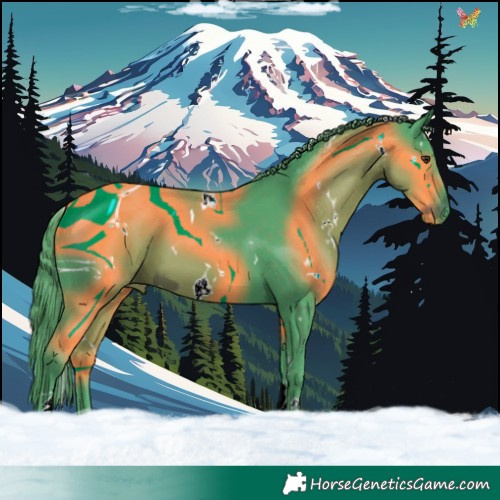 Horse Color:ERROR: UNKNOWN ANOMALY