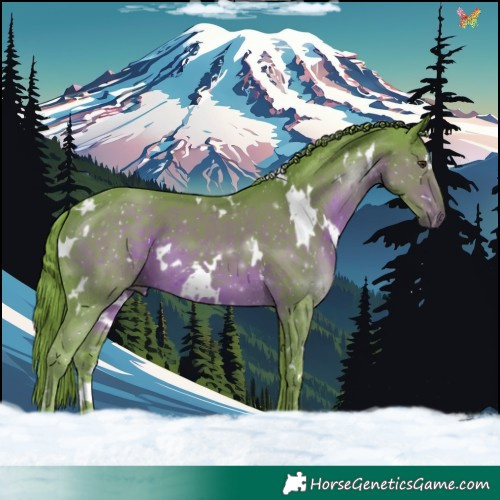 Horse Color:Watercolor White Spotted Liver Chestnut 