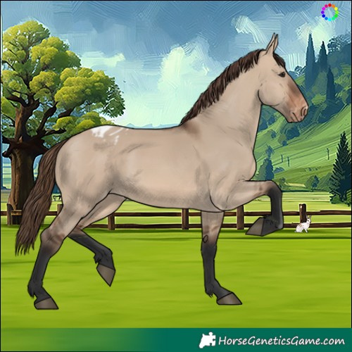 Horse Color:Brown Dun Skewed Appaloosa