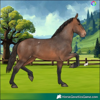 Horse Color:Bay Skewed LP Spotted