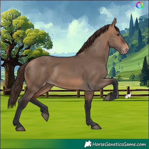 Horse Color:Bay Dun Skewed Appaloosa 