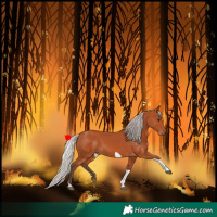 Horse Color:Silver Bay Tobiano