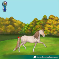 Horse Color:Gold Champagne Roan Splash 