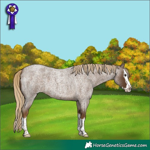 Horse Color:Chocolate Palomino Roan Splash 
