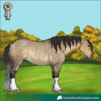 Horse Color:Buckskin Dun Rabicano