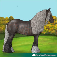 Horse Color:Silver Brown Rabicano
