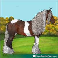 Horse Color:Silver Brown Tobiano Rabicano 