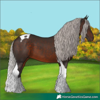 Horse Color:Silver Brown Tobiano