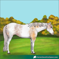 Horse Color:White Spotted Silver Buckskin Ice Tobiano 
