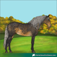Horse Color:Silver Buckskin