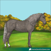 Horse Color:Silver Black 