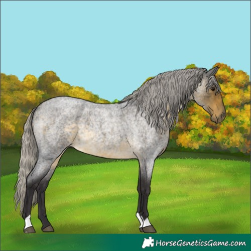 Horse Color:Silver Buckskin Roan 