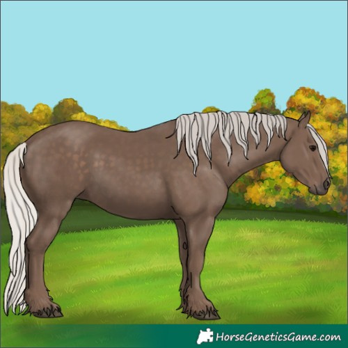 Horse Color:Silver Black 