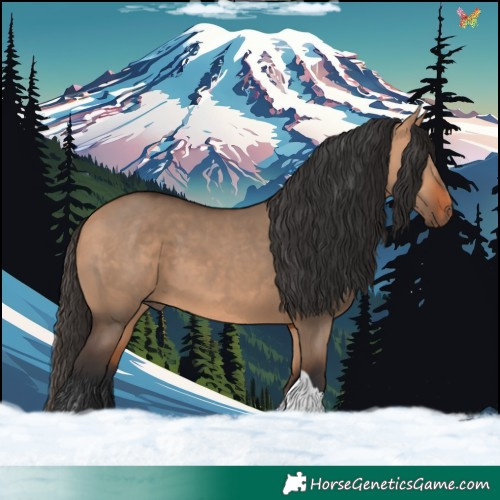 Horse Color:Bay Dun Tobiano 
