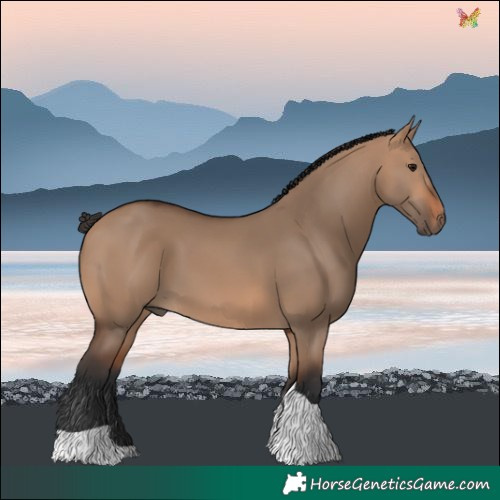 Horse Color:Bay Dun Tobiano 