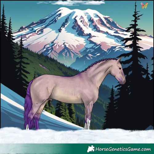 Horse Color:Watercolor Brown Dun Tobiano 