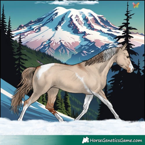 Horse Color:Red Dun Tobiano Varnish 