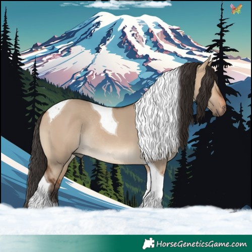 Horse Color:Bay Dun Tobiano Rabicano