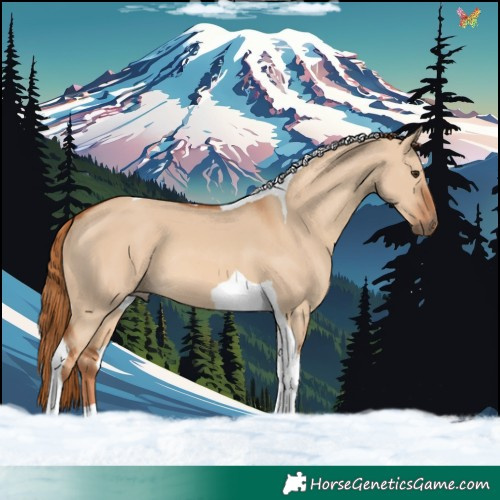 Horse Color:Red Dun Tobiano 
