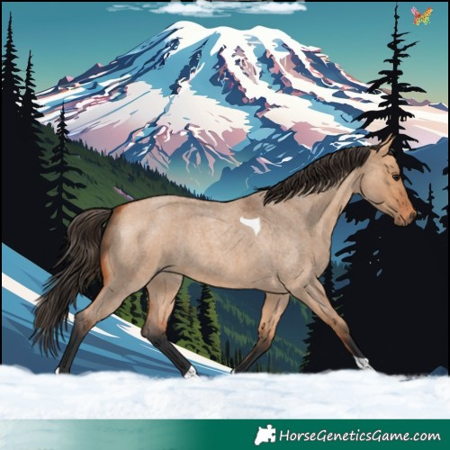 Horse Color:Bay Roan Dun Tobiano Rabicano 