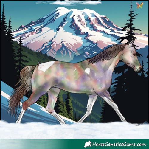 Horse Color:Nacre Liver Red Dun Onyx Tobiano 