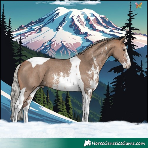 Horse Color:Silver Brown Dun Sabino Tobiano Rabicano 