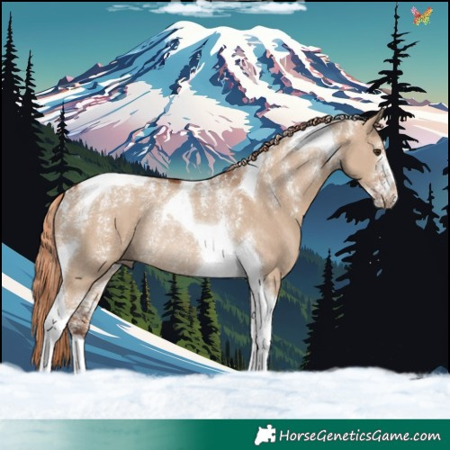 Horse Color:Powder White Red Dun Tobiano Rabicano 