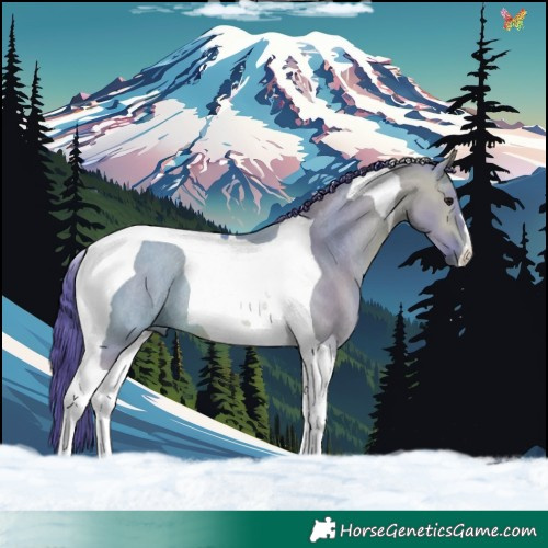 Horse Color:Watercolor Bay Dun Tobiano Rabicano 