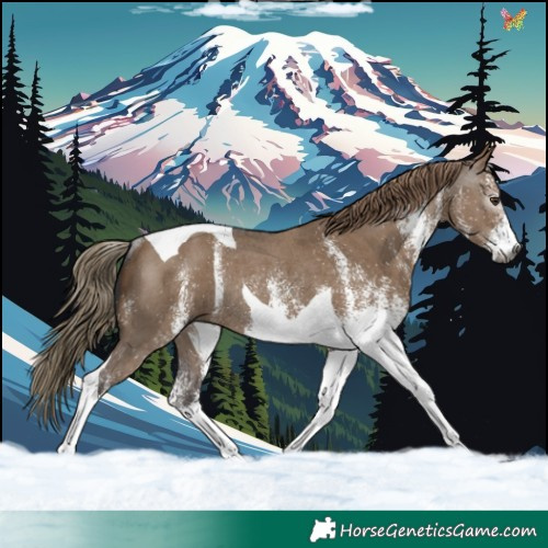 Horse Color:Gray White Spotted Liver Red Dun Tobiano Rabicano