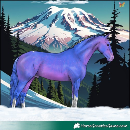 Horse Color:Watercolor White Spotted Bay Tobiano Appaloosa