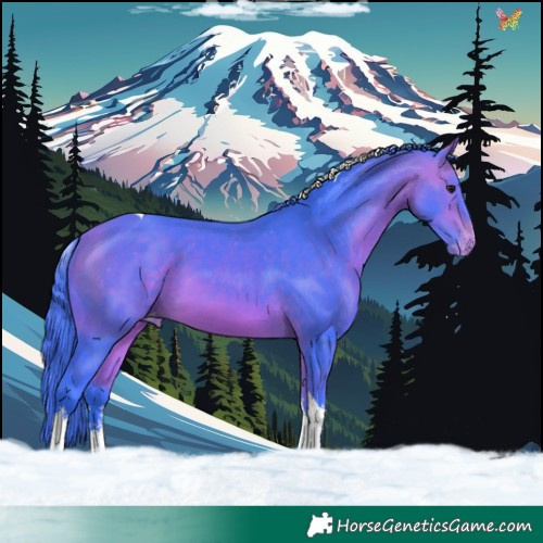 Horse Color:Watercolor White Spotted Bay Tobiano Varnish 