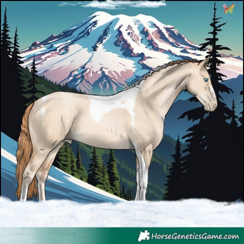 Horse Color:Bay Snowdrop Pearl Dun Tobiano