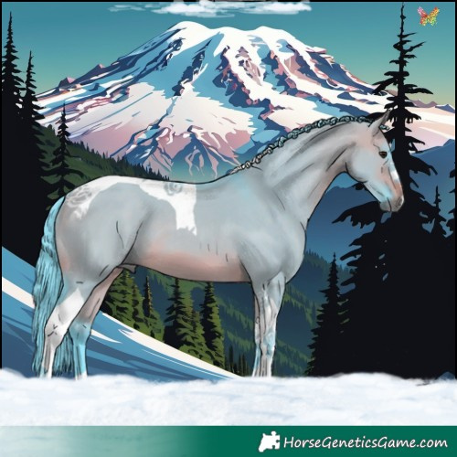 Horse Color:Watercolor Brown Dun Tobiano 