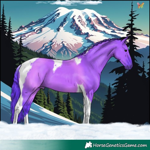 Horse Color:Watercolor Grullo Tobiano 